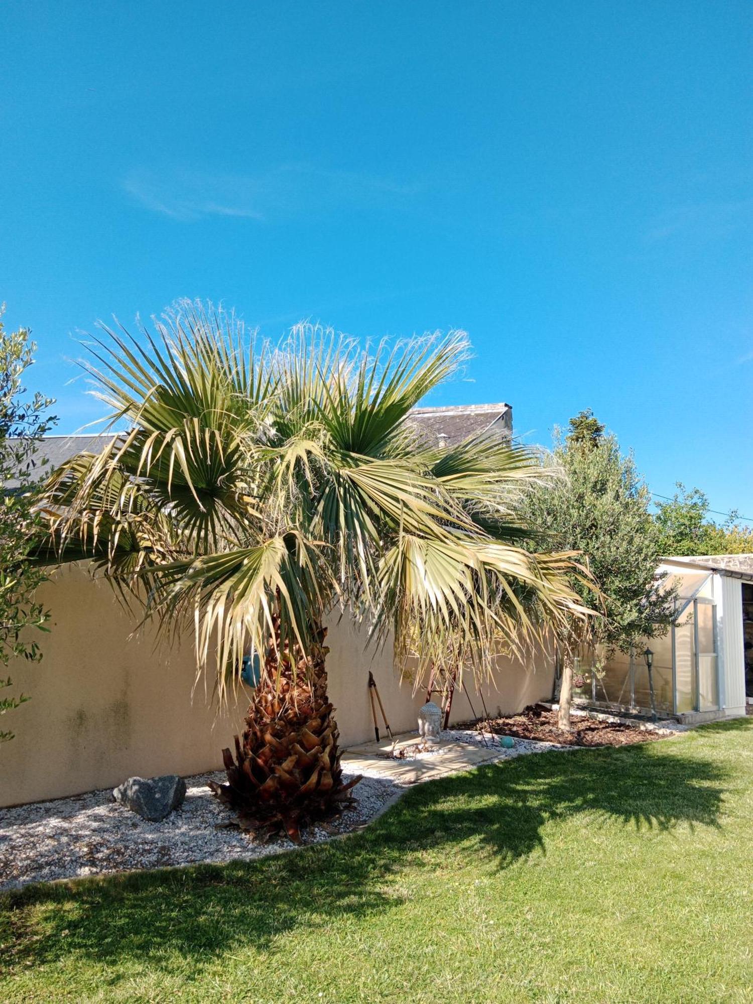Les Palmiers Bed & Breakfast Bayeux Exterior foto